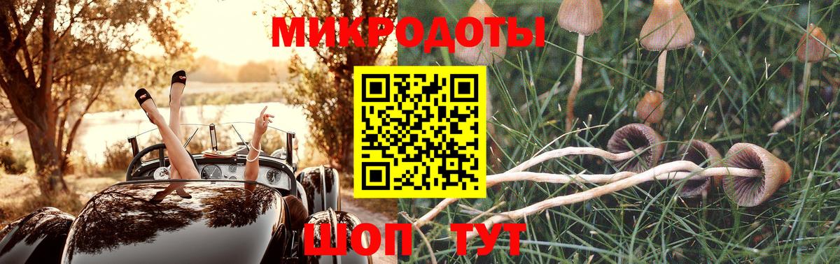 Галлюциногенные грибы мицелий Холмск